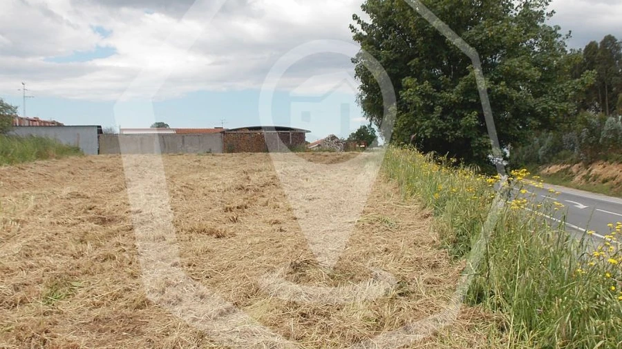 Terreno Agricola ou Rústico para Venda em Oliveira do Bairro