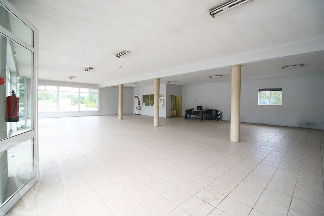 Negócio para Venda em Belazaima do Chão, Castanheira do Vouga e Agadão Foto 4