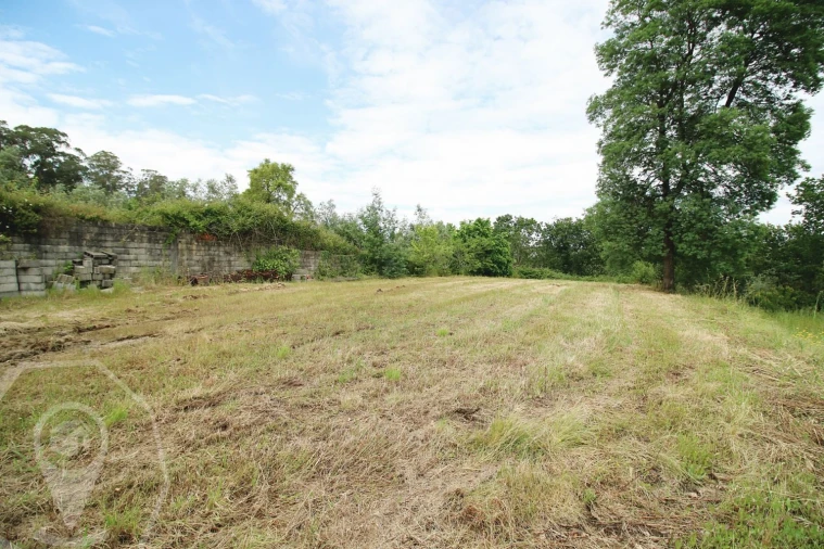 Negócio para Venda em Belazaima do Chão, Castanheira do Vouga e Agadão Foto 12