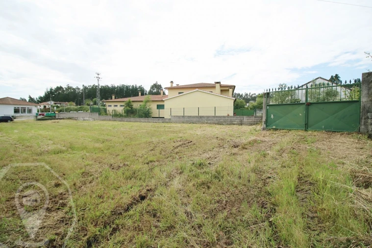 Negócio para Venda em Belazaima do Chão, Castanheira do Vouga e Agadão Foto 13