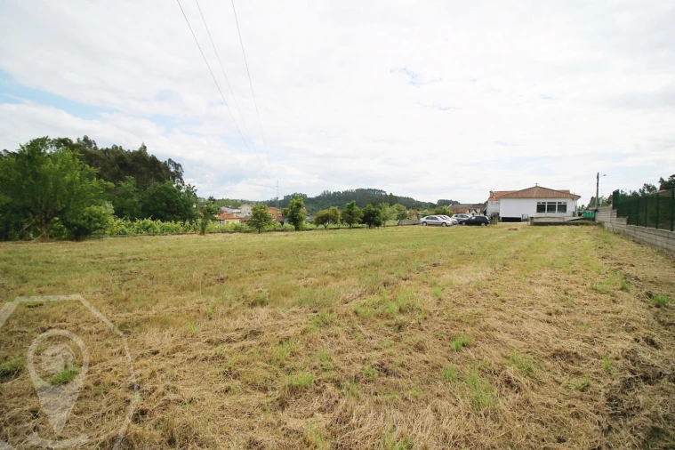 Negócio para Venda em Belazaima do Chão, Castanheira do Vouga e Agadão Foto 14