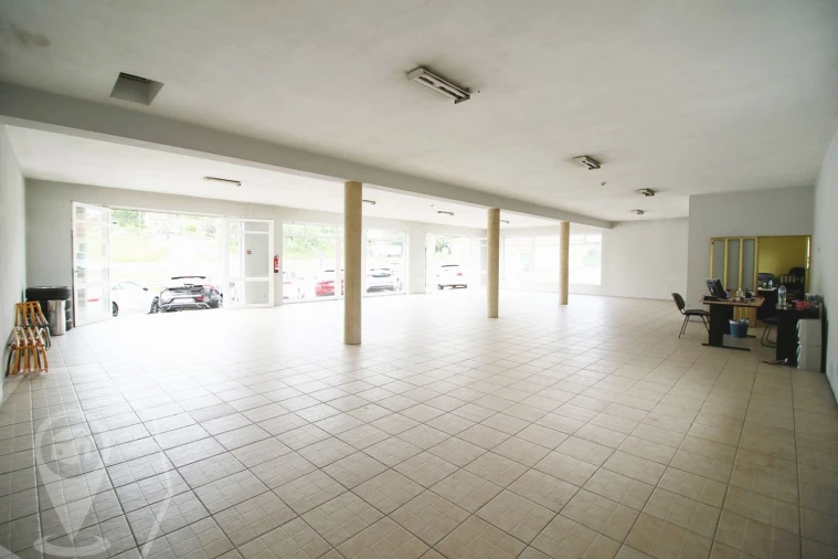 Negócio para Venda em Belazaima do Chão, Castanheira do Vouga e Agadão Foto 7