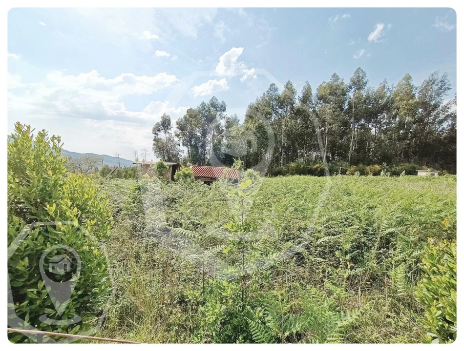 Terreno Agricola ou Rústico para Venda em Campia Foto 1