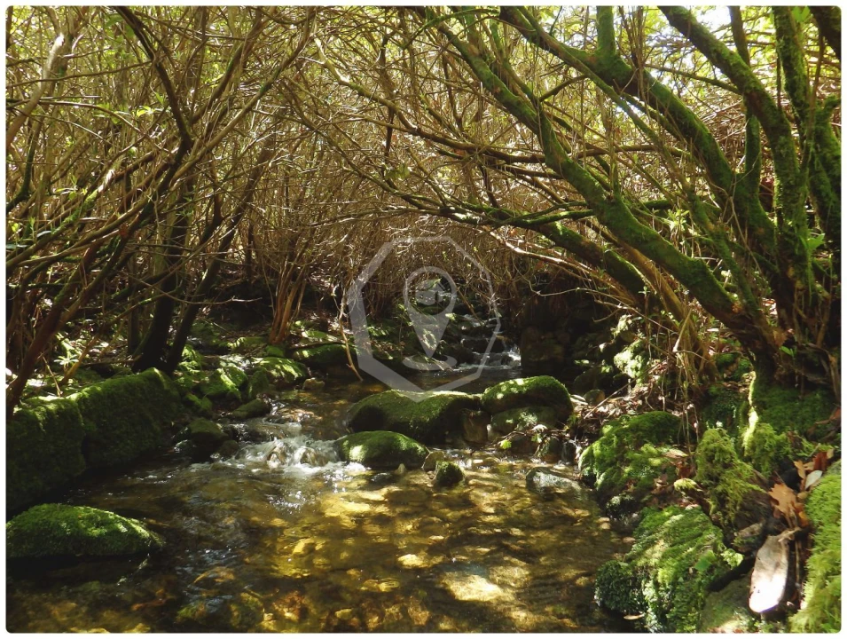 Terreno Agricola ou Rústico para Venda em Campia Foto 15