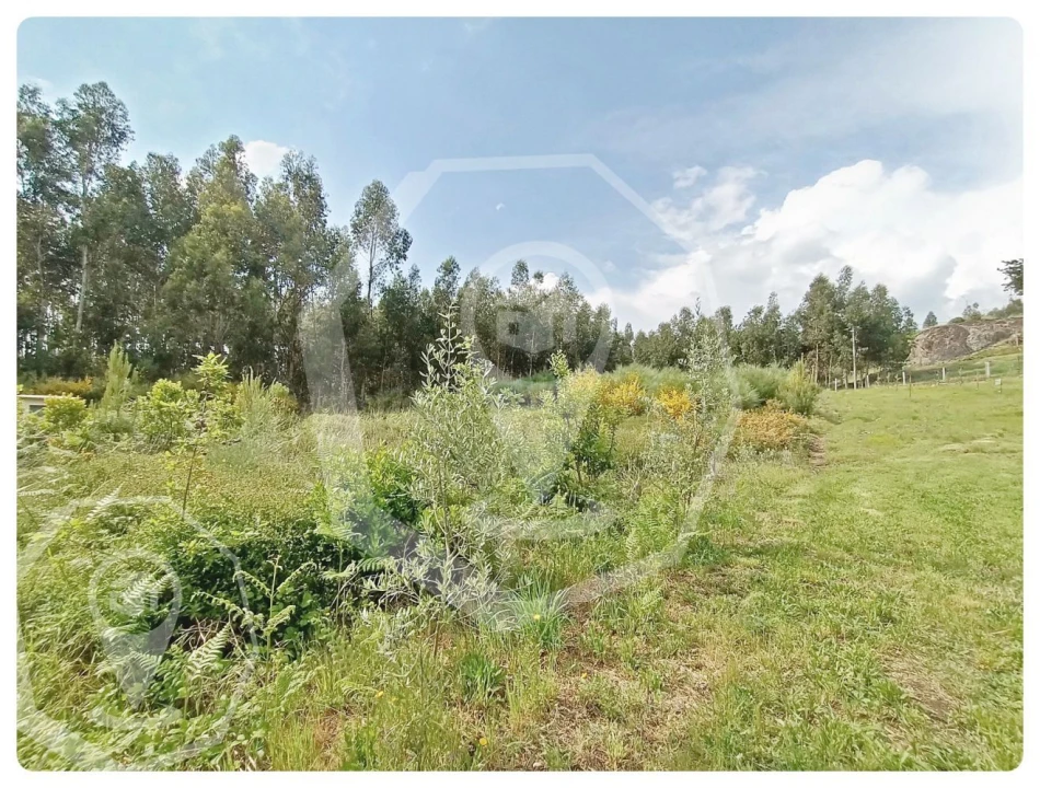 Terreno Agricola ou Rústico para Venda em Campia Foto 4