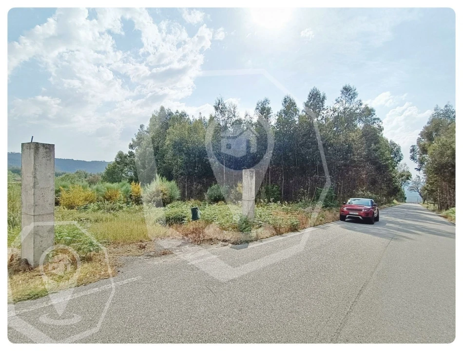 Terreno Agricola ou Rústico para Venda em Campia Foto 5