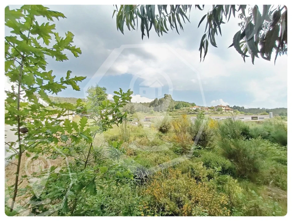 Terreno Agricola ou Rústico para Venda em Campia Foto 7