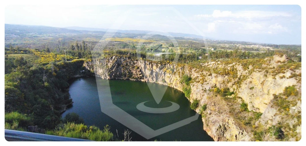 Terreno Agricola ou Rústico para Venda em Campia Foto 10