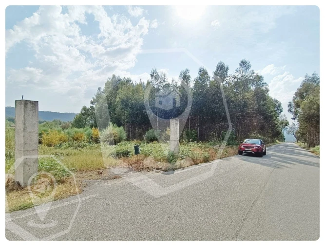 Terreno Agricola ou Rústico para Venda em Campia Foto 5