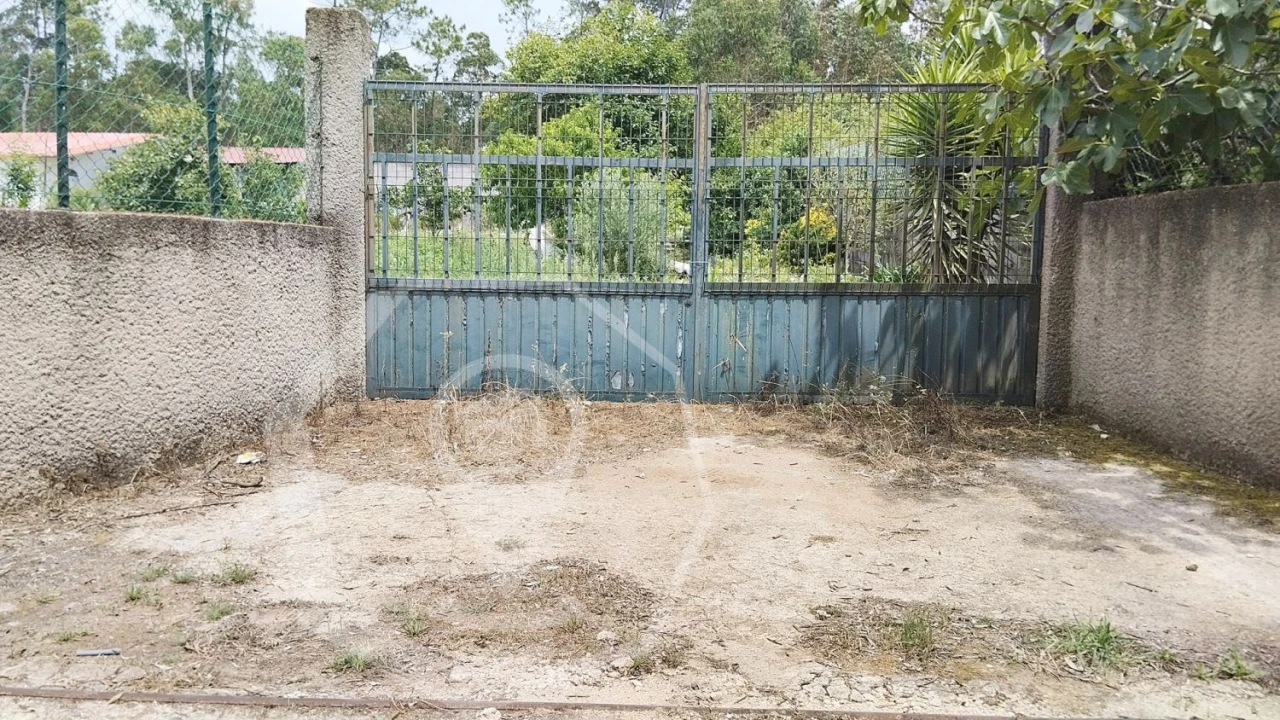 Terreno Agricola ou Rústico para Venda em Águeda e Borralha Foto 1