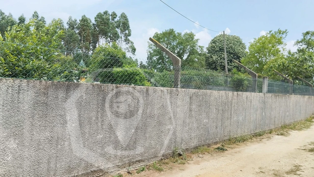 Terreno Agricola ou Rústico para Venda em Águeda e Borralha Foto 3