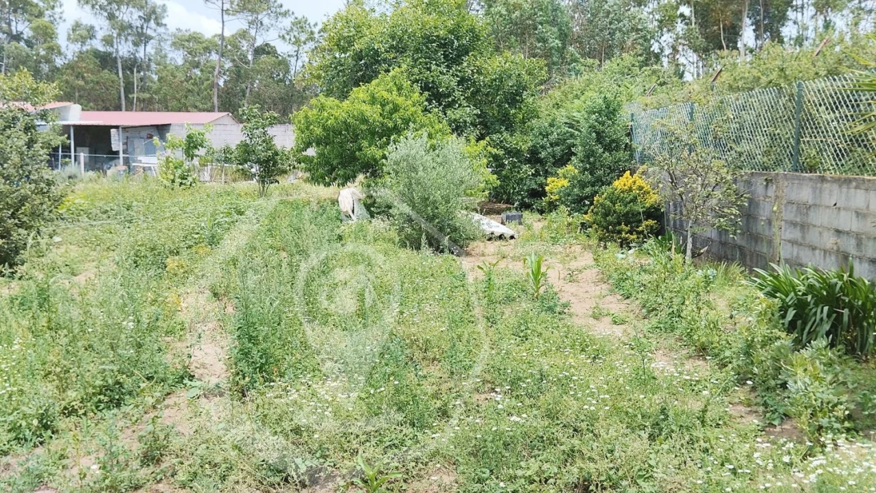 Terreno Agricola ou Rústico para Venda em Águeda e Borralha Foto 6