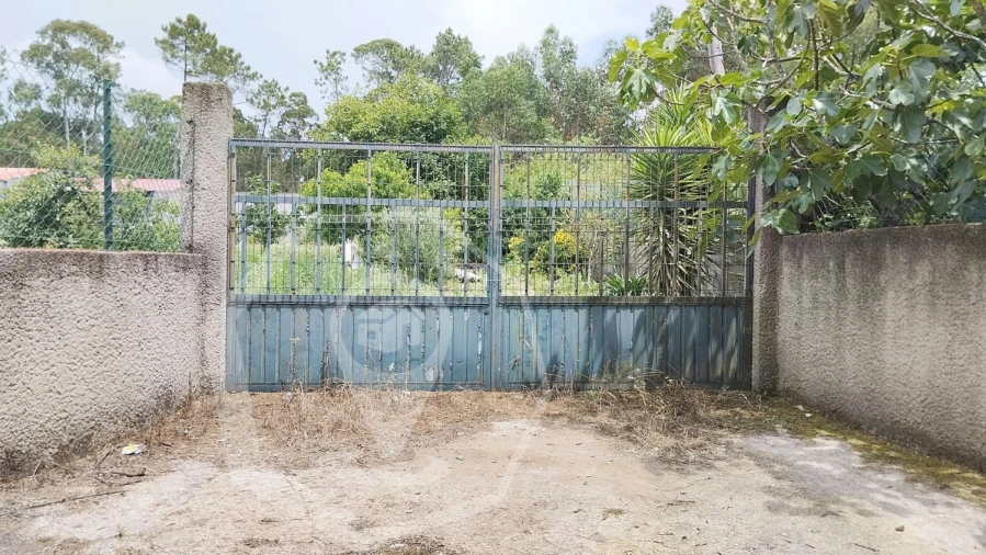 Terreno Agricola ou Rústico para Venda em Águeda e Borralha Foto 2