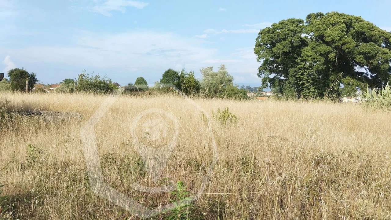 Terreno Agricola ou Rústico para Venda em Águeda e Borralha Foto 10