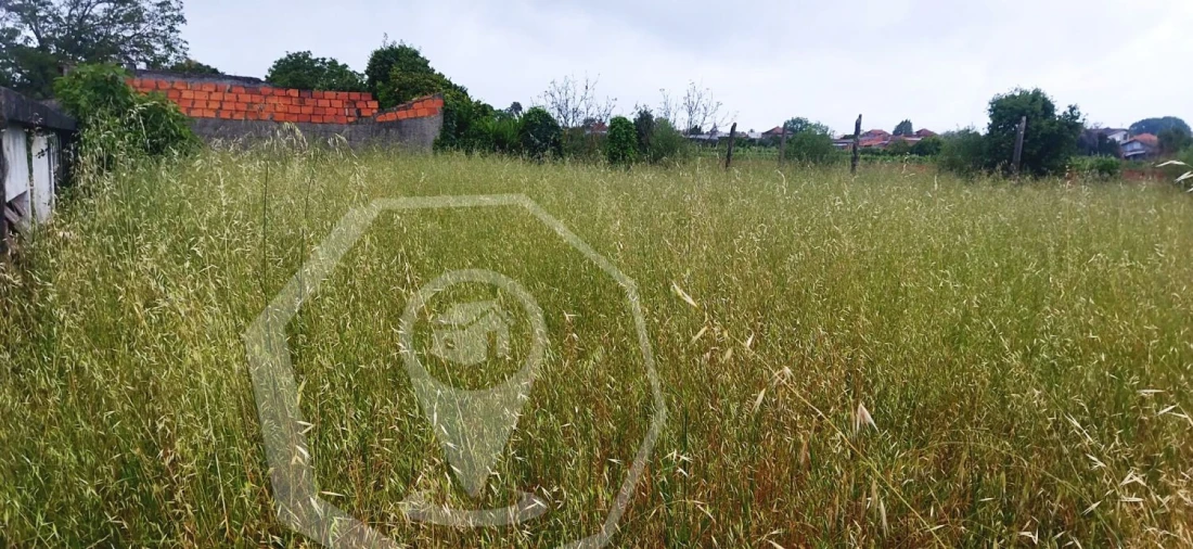Terreno Agricola ou Rústico para Venda em Águeda e Borralha Foto 1