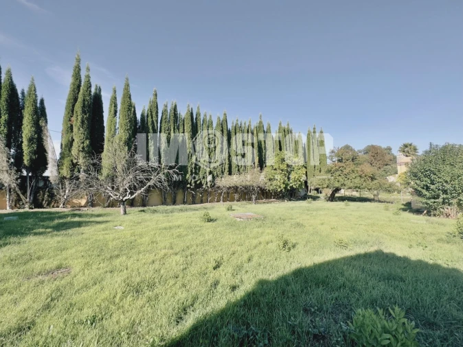 Moradia T5 para Venda em Sangalhos Foto 23