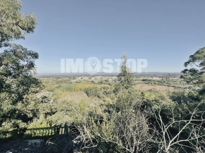 Moradia T5 para Venda em Sangalhos Foto 36