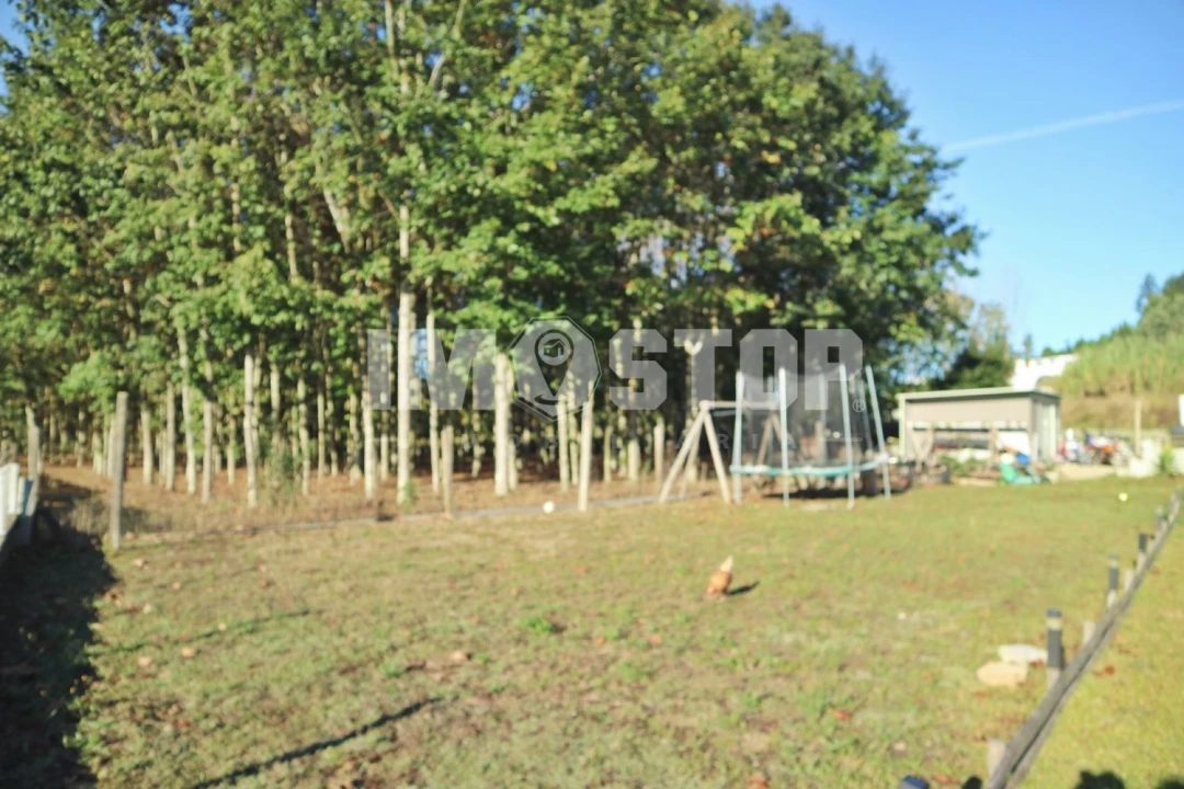 Moradia T3 para Venda em Oliveira do Bairro Foto 34