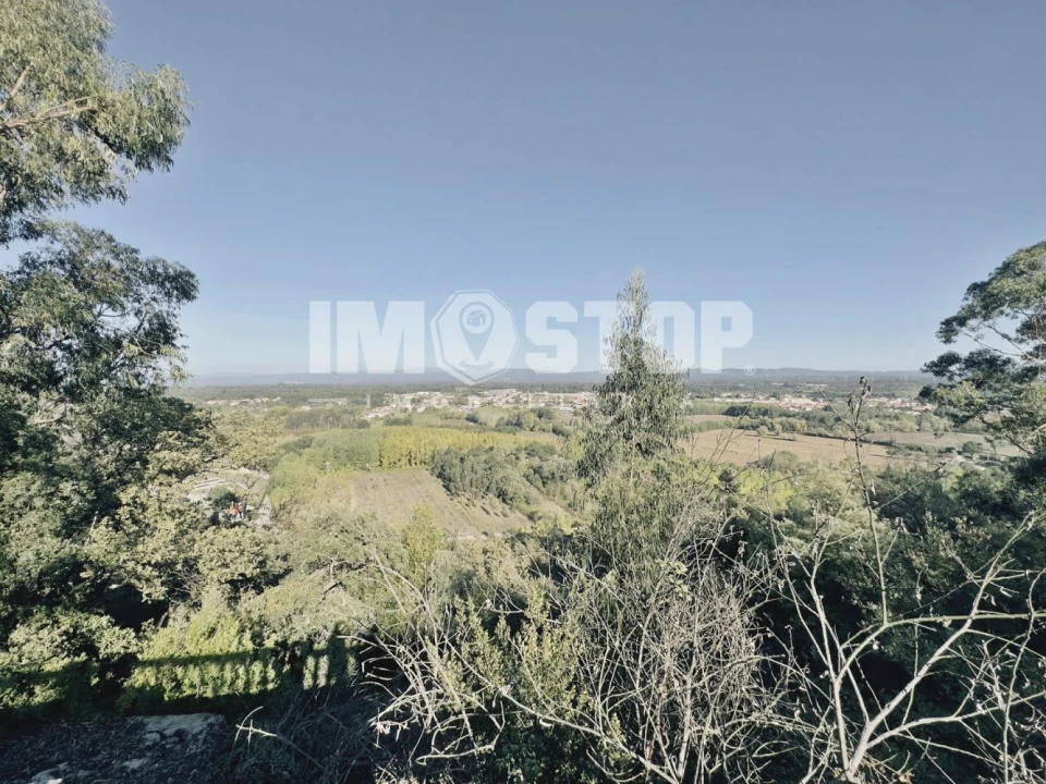 Moradia T5 para Venda em Sangalhos Foto 36