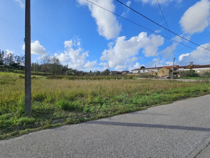Terreno Agricola ou Rústico para Venda em Águeda e Borralha Foto 2