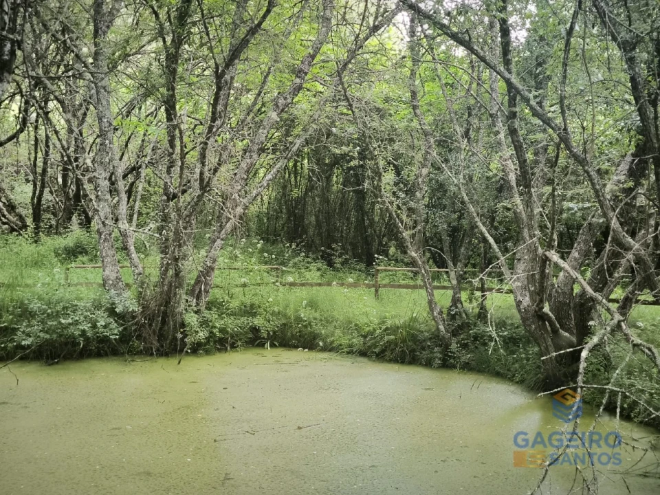 Moradia T3 para Venda em Vimeiro Foto 39