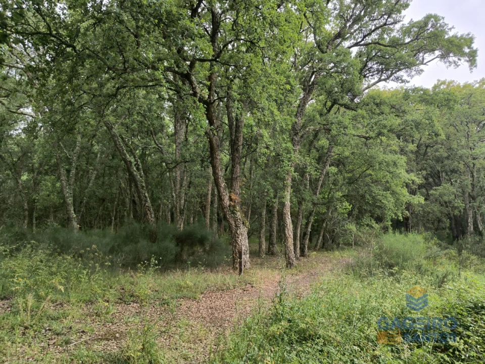 Moradia T3 para Venda em Vimeiro Foto 42