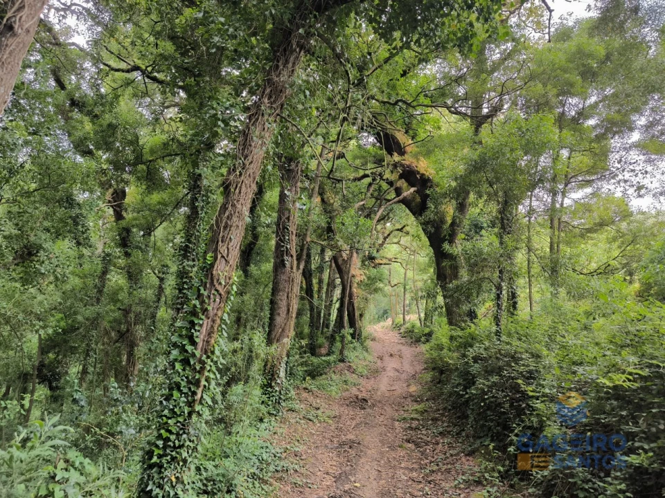 Moradia T3 para Venda em Vimeiro Foto 43