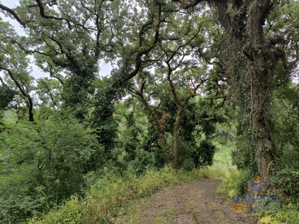 Moradia T3 para Venda em Vimeiro Foto 46