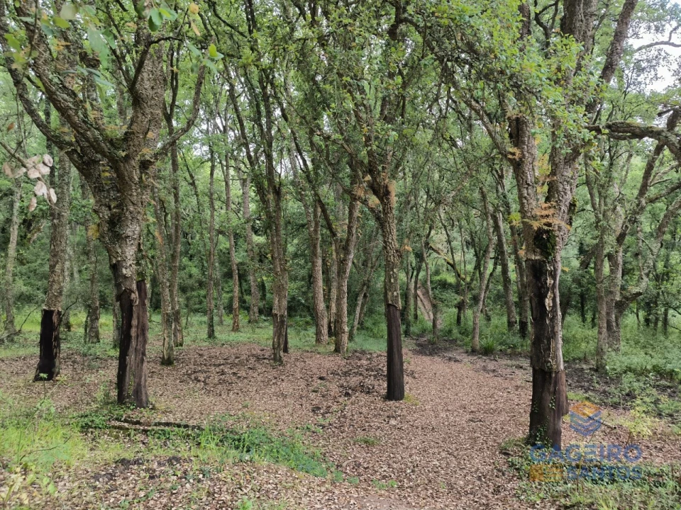 Moradia T3 para Venda em Vimeiro Foto 47