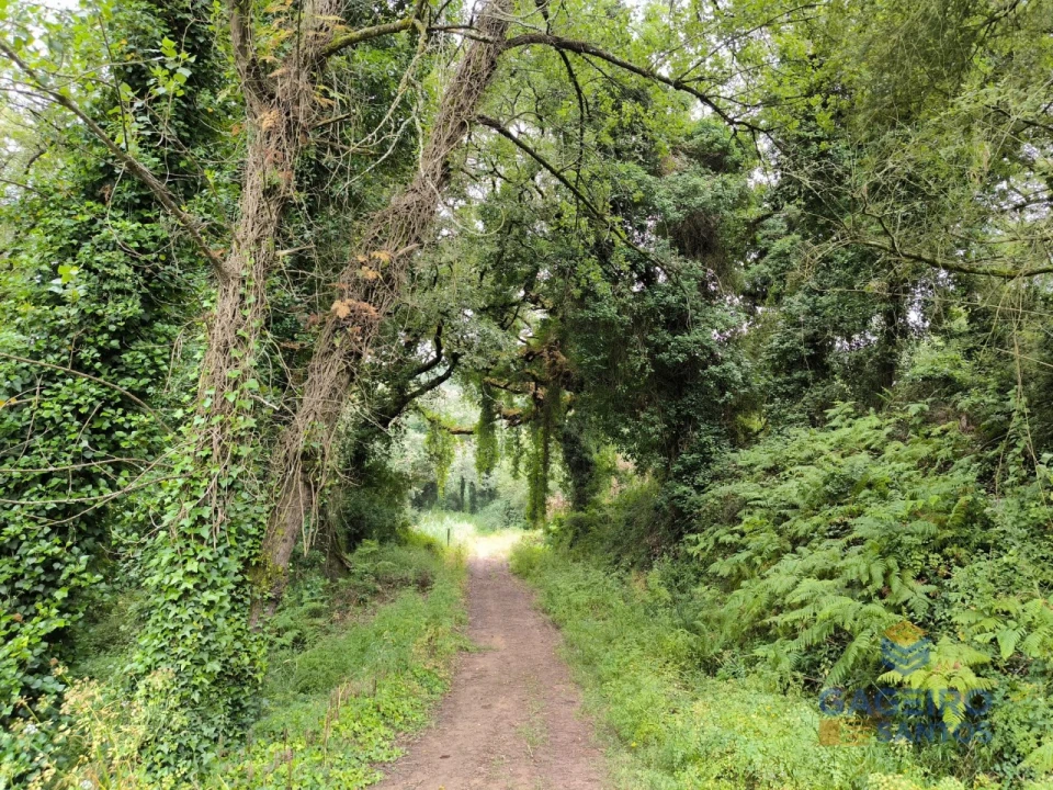 Moradia T3 para Venda em Vimeiro Foto 48