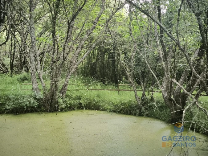 Moradia T3 para Venda em Vimeiro Foto 39