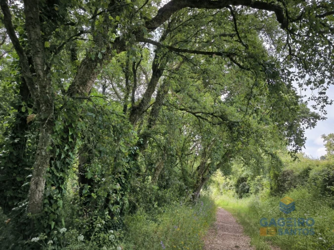 Moradia T3 para Venda em Vimeiro Foto 40