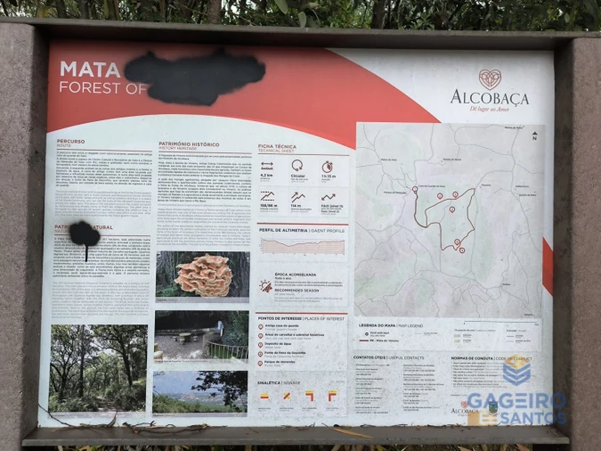 Moradia T3 para Venda em Vimeiro Foto 41