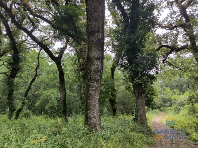 Moradia T3 para Venda em Vimeiro Foto 44