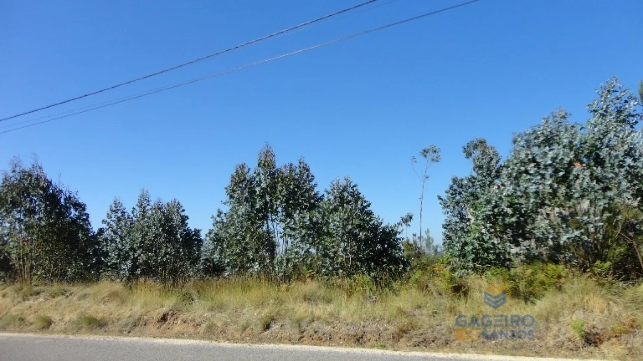 Terreno para Venda em Vidais Foto 3