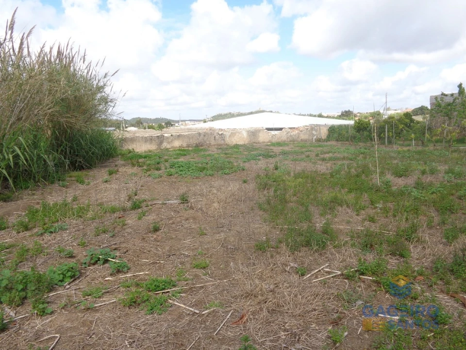 Terreno para Venda em Santa Maria, São Pedro e Sobral da Lagoa Foto 4