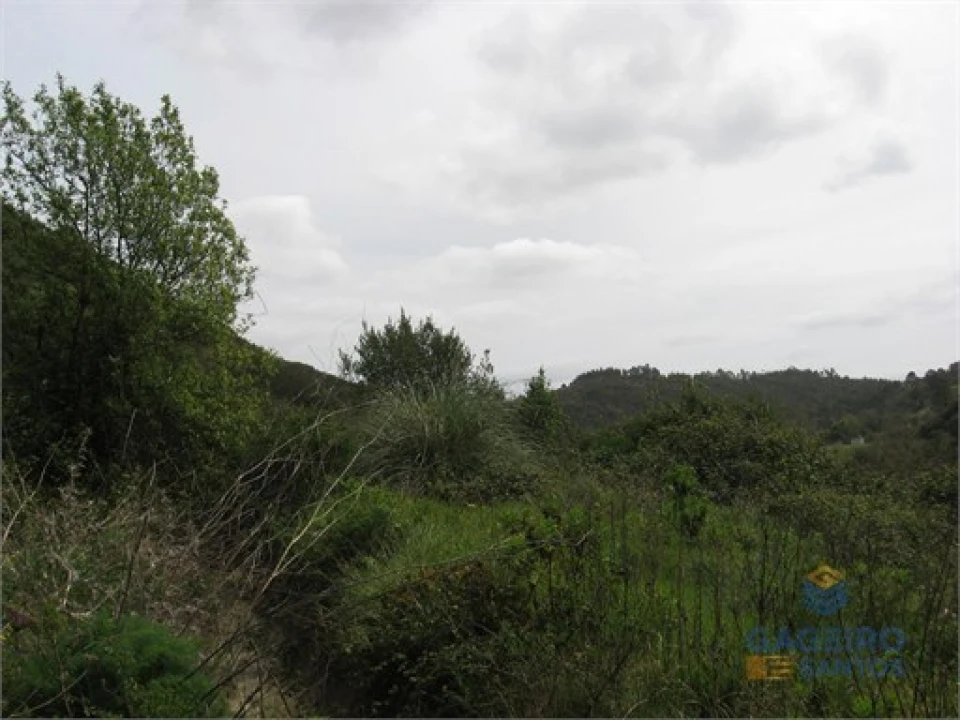 Terreno Agricola ou Rústico para Venda em Santa Maria, São Pedro e Sobral da Lagoa Foto 5