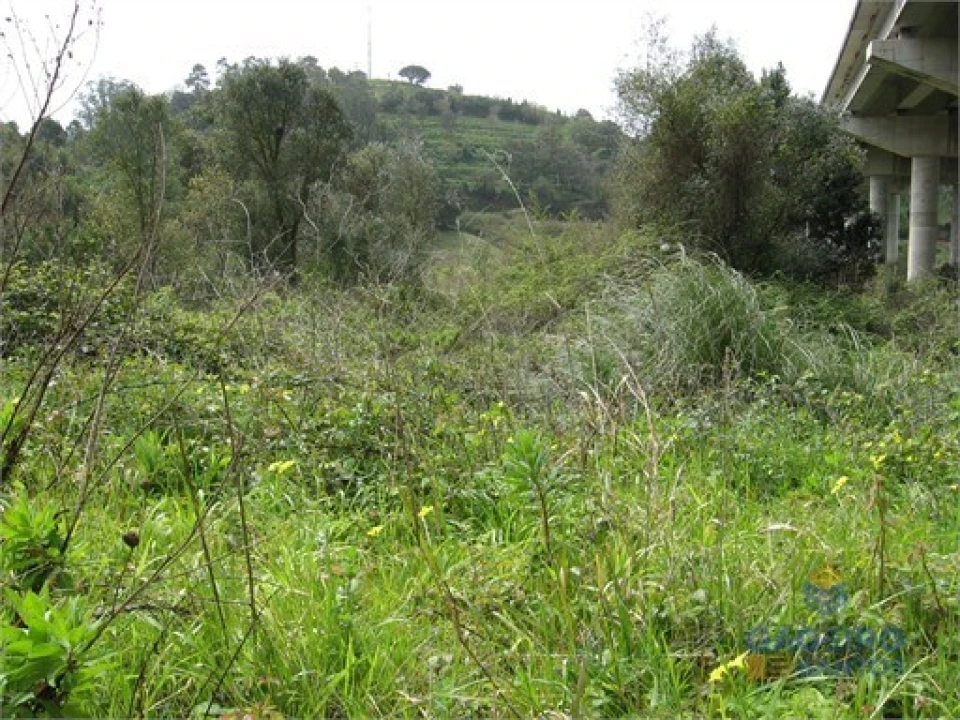 Terreno Agricola ou Rústico para Venda em Santa Maria, São Pedro e Sobral da Lagoa Foto 6