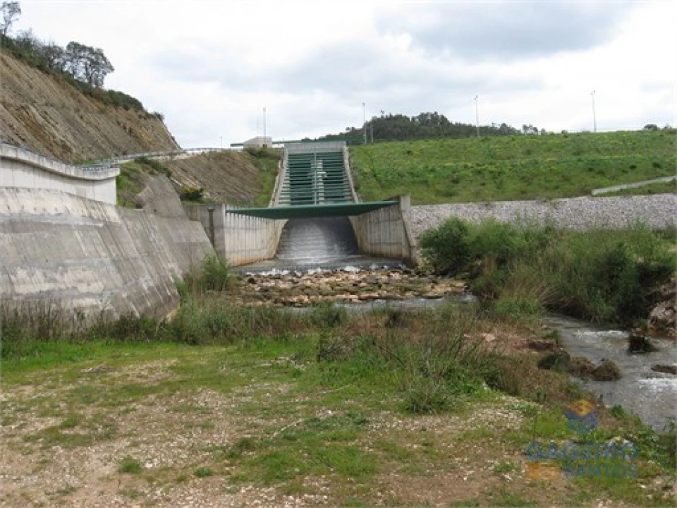 Terreno Agricola ou Rústico para Venda em Santa Maria, São Pedro e Sobral da Lagoa Foto 12