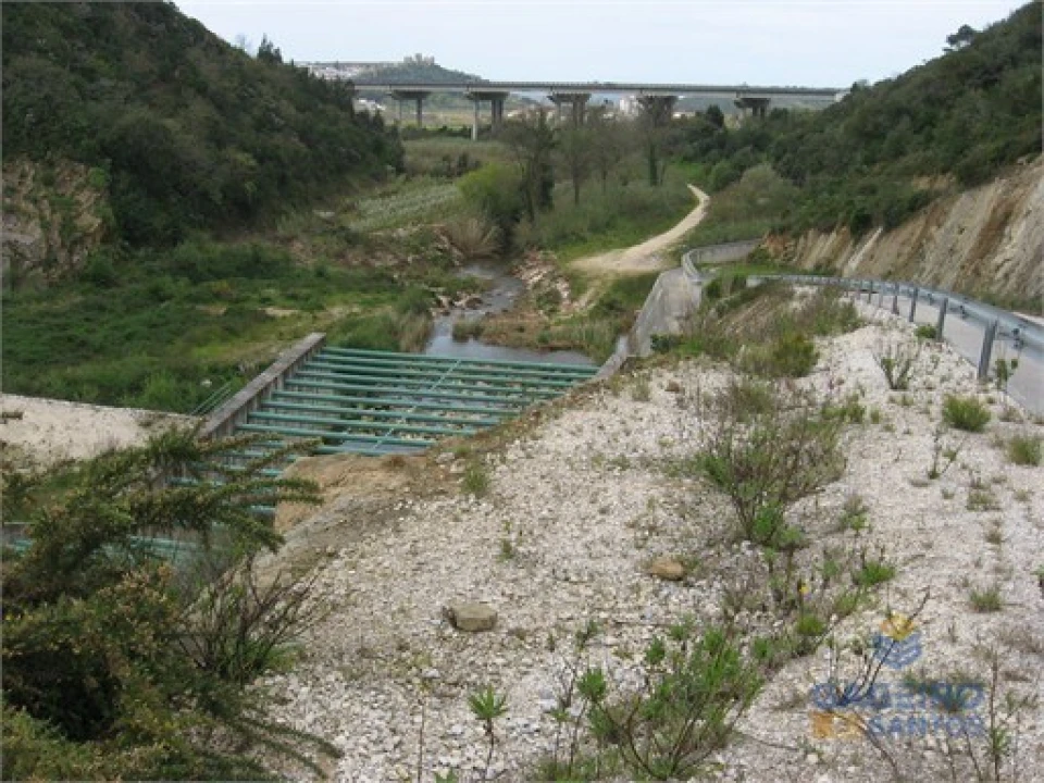 Terreno Agricola ou Rústico para Venda em Santa Maria, São Pedro e Sobral da Lagoa Foto 15