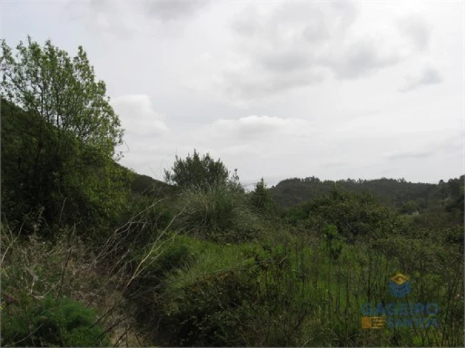 Terreno Agricola ou Rústico para Venda em Santa Maria, São Pedro e Sobral da Lagoa Foto 5