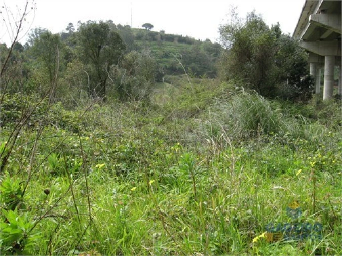 Terreno Agricola ou Rústico para Venda em Santa Maria, São Pedro e Sobral da Lagoa Foto 6