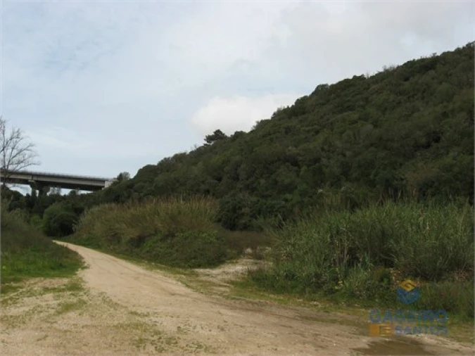 Terreno Agricola ou Rústico para Venda em Santa Maria, São Pedro e Sobral da Lagoa Foto 7