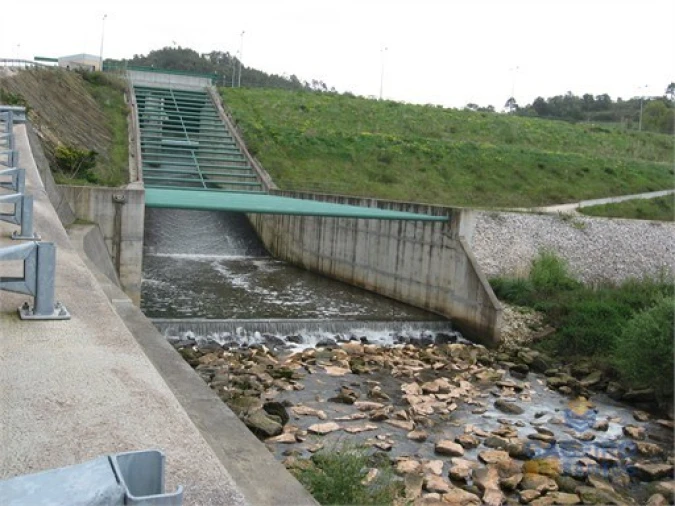 Terreno Agricola ou Rústico para Venda em Santa Maria, São Pedro e Sobral da Lagoa Foto 14