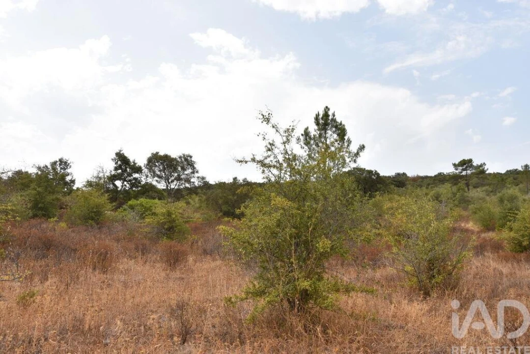Terreno para Venda em Nossa Senhora do Pranto Foto 13