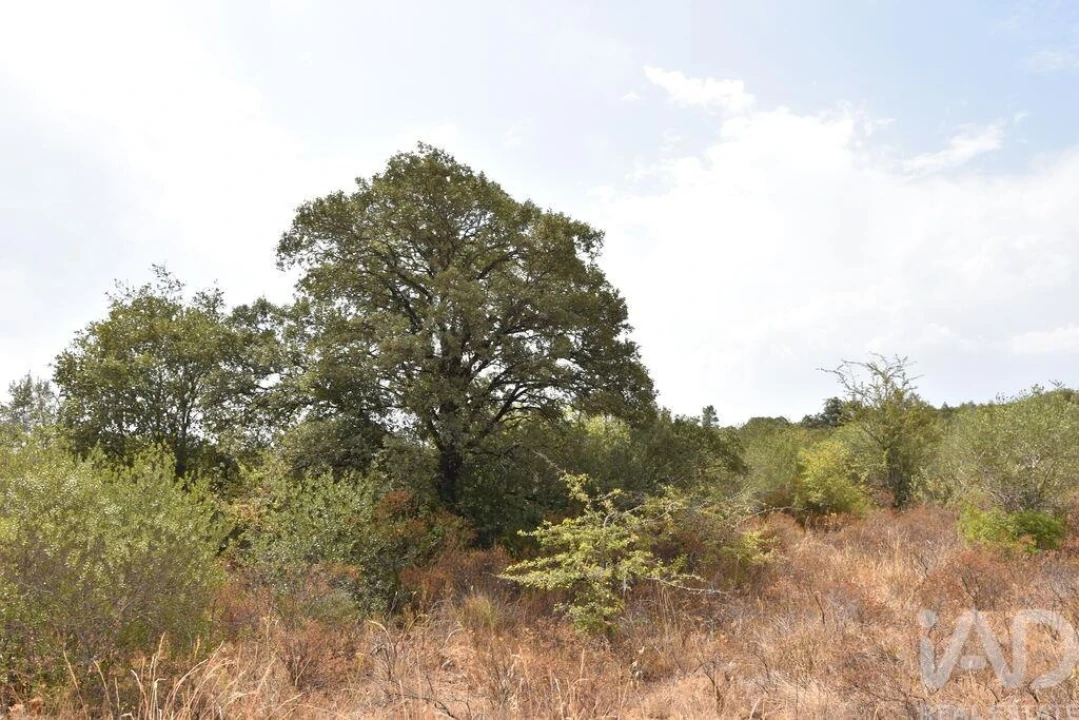Terreno para Venda em Nossa Senhora do Pranto Foto 22
