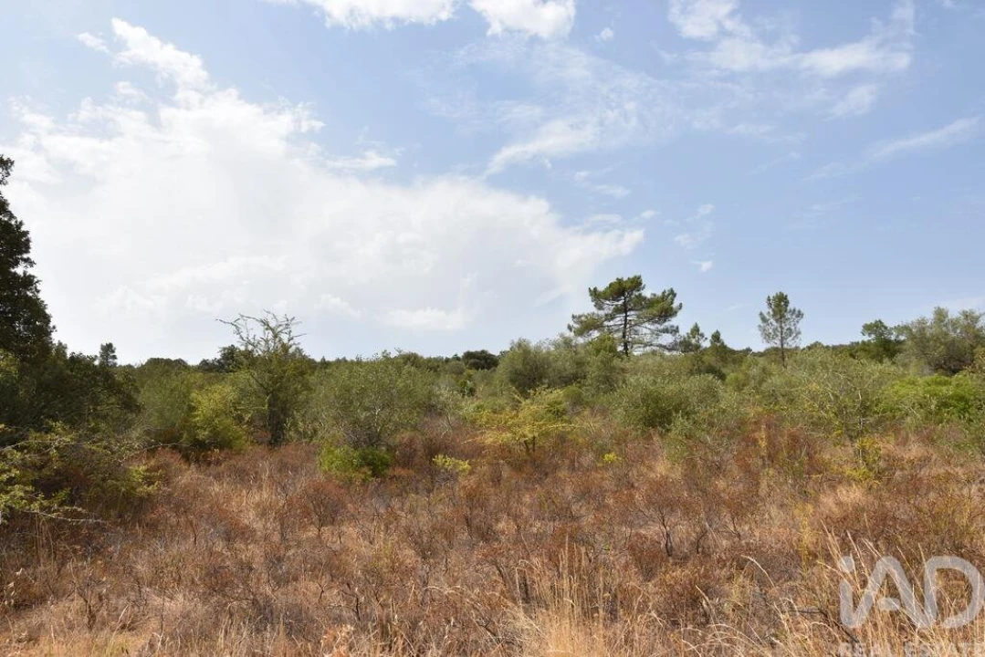Terreno para Venda em Nossa Senhora do Pranto Foto 1