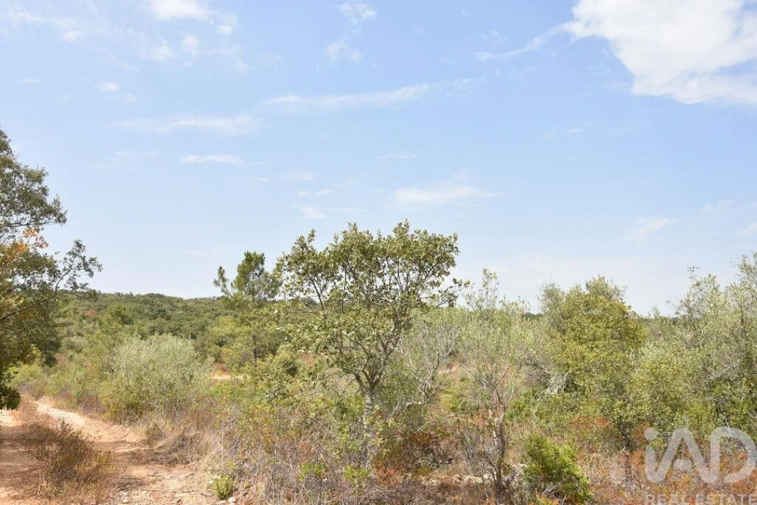 Terreno para Venda em Nossa Senhora do Pranto Foto 26
