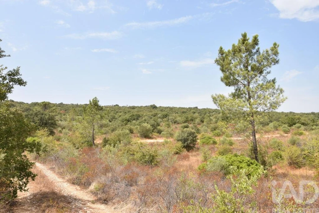 Terreno para Venda em Nossa Senhora do Pranto Foto 24