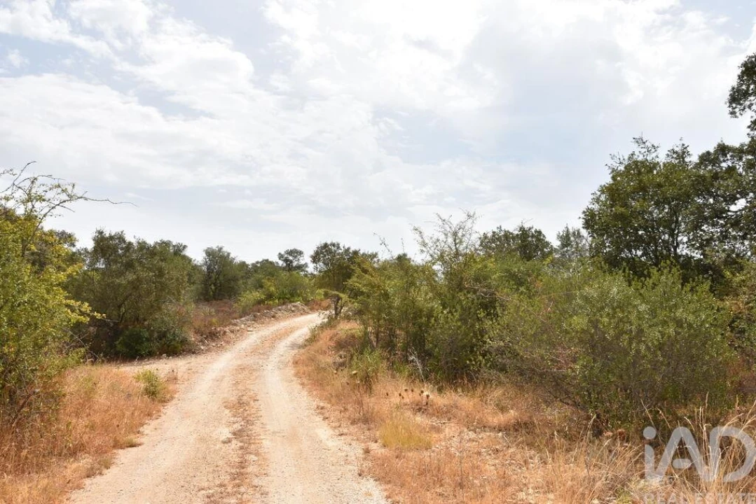 Terreno para Venda em Nossa Senhora do Pranto Foto 23